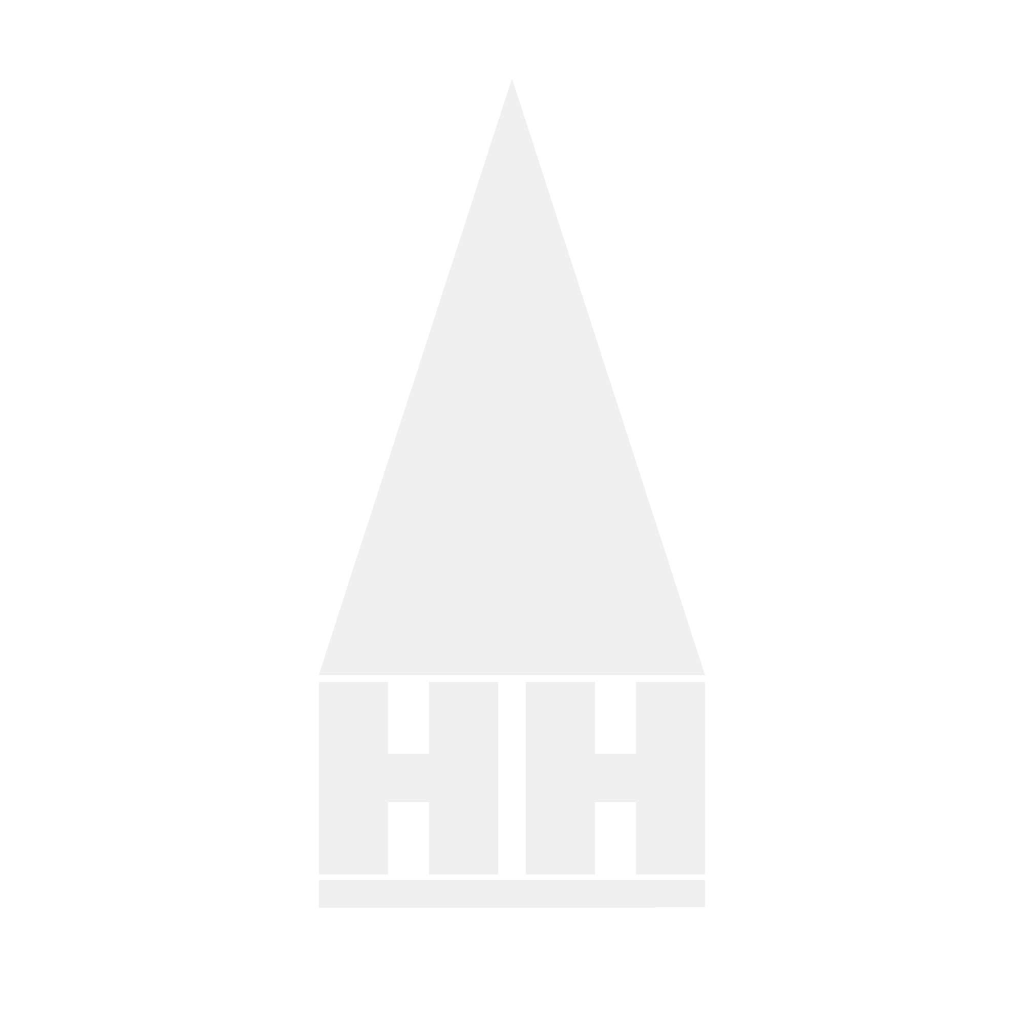 Logo Icon